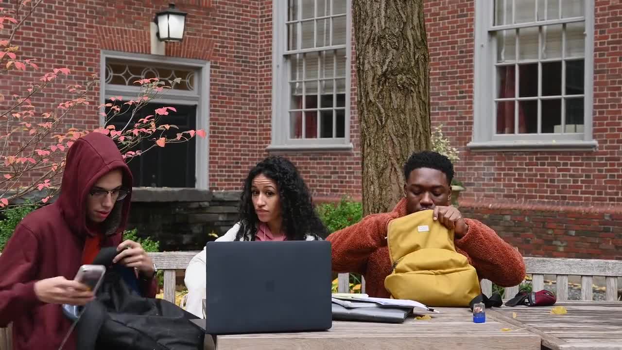 Illustrative stock photograph of a diverse group studying outdoors